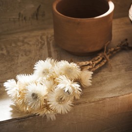 Gofis Home - Αποξηραμένα Άνθη H30cm Fouzia 114