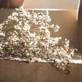 Gofis Home - Αποξηραμένα Άνθη H55cm Confetti 116