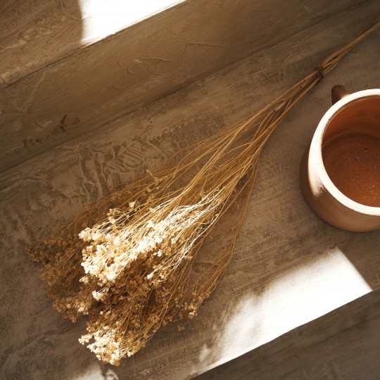  Gofis Home - Αποξηραμένα Άνθη H40cm Broom 118