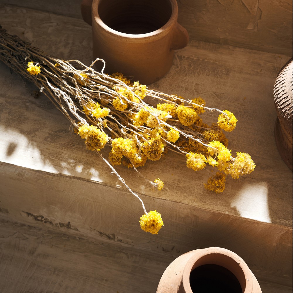  Gofis Home - Αποξηραμένα Άνθη H45cm Sanfordi 120