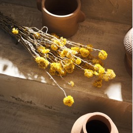Gofis Home - Αποξηραμένα Άνθη H45cm Sanfordi 120