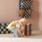 Kids Concept - Σκαμπό με Αποθηκευτικό Χώρο 40cm Brown Stripes