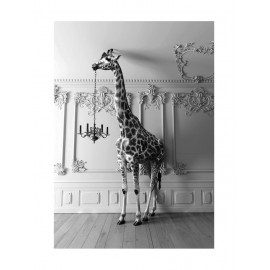 Brookpace Lascelles - Art Print Giraffe In The Room Με Κορνίζα Black Box  Brookpace Lascelles - Art Print Giraffe In The Room Με Κορνίζα Black Box