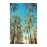 Brookpace Lascelles - Art Print Beverly Hills Palms Με Ξύλινη Κορνίζα