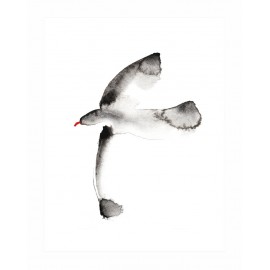 Brookpace Lascelles - Art Print Watercolour Seagull Με Ξύλινη Κορνίζα