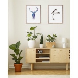 Brookpace Lascelles - Art Print Watercolour Seagull Με Ξύλινη Κορνίζα