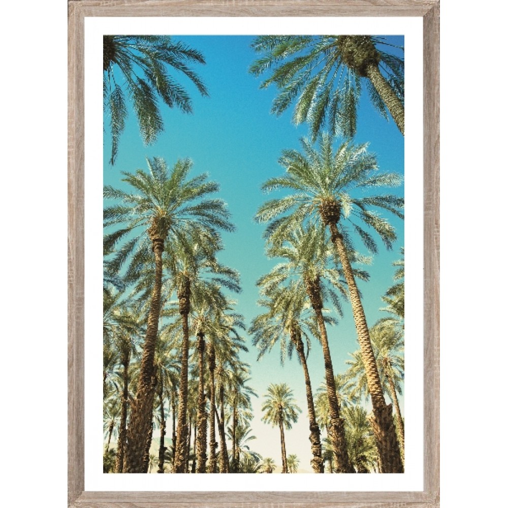 Brookpace Lascelles - Art Print Beverly Hills Palms Με Ξύλινη Κορνίζα