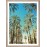 Brookpace Lascelles - Art Print Beverly Hills Palms Με Ξύλινη Κορνίζα