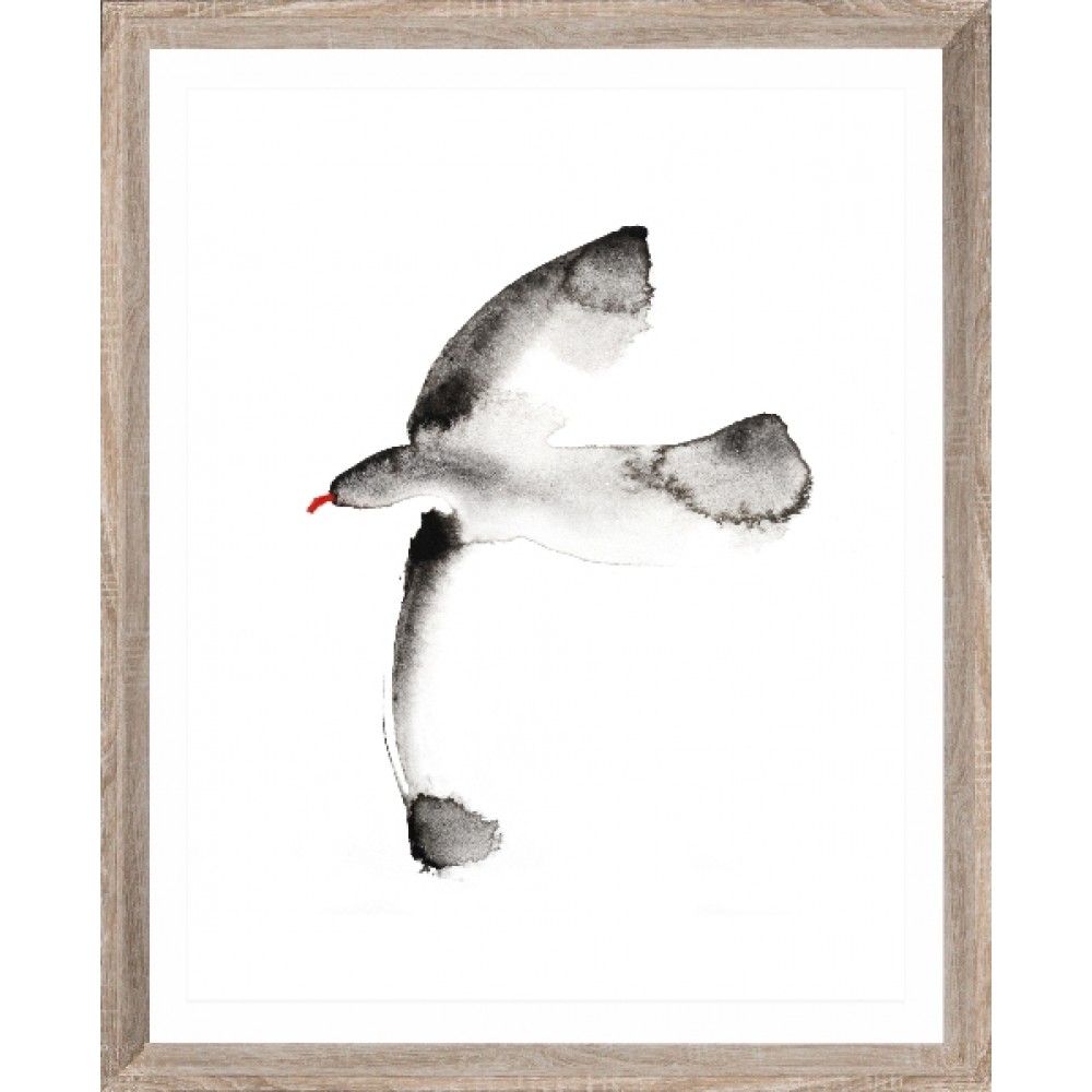 Brookpace Lascelles - Art Print Watercolour Seagull Με Ξύλινη Κορνίζα