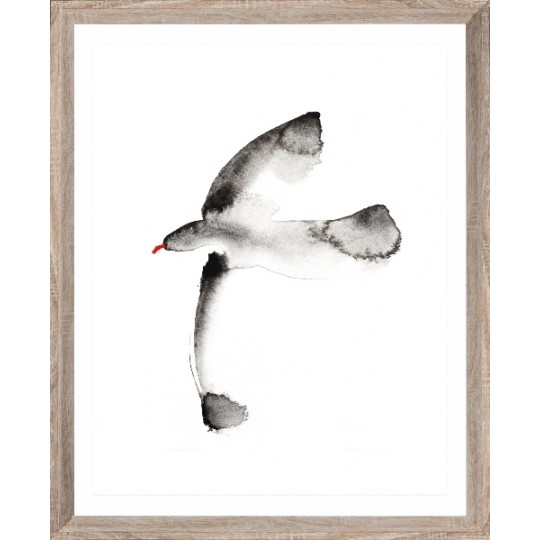Brookpace Lascelles - Art Print Watercolour Seagull Με Ξύλινη Κορνίζα