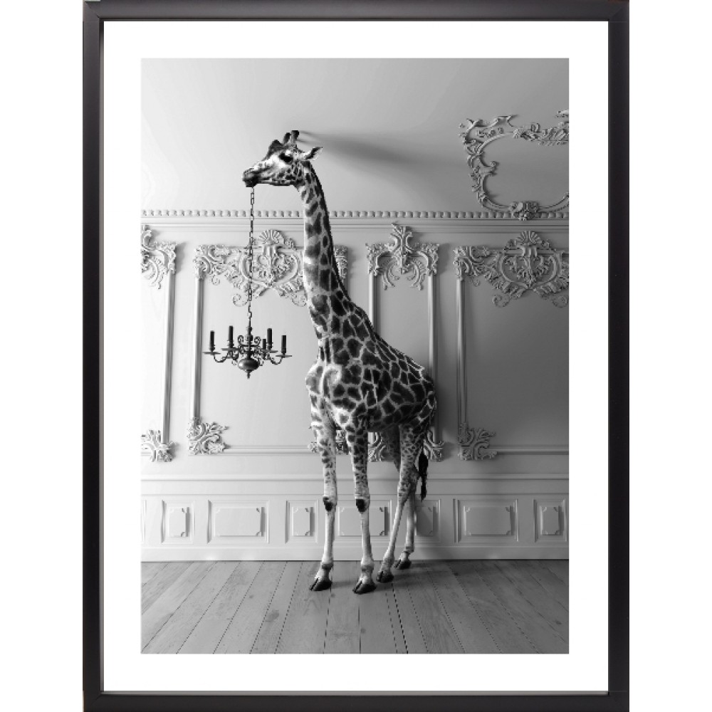 Brookpace Lascelles - Art Print Giraffe In The Room Με Κορνίζα Black Box  Brookpace Lascelles - Art Print Giraffe In The Room Με Κορνίζα Black Box