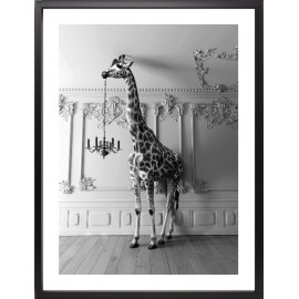 Brookpace Lascelles - Art Print Giraffe In The Room Με Κορνίζα Black Box