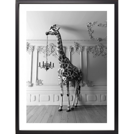 Brookpace Lascelles - Art Print Giraffe In The Room Με Κορνίζα Black Box  Brookpace Lascelles - Art Print Giraffe In The Room Με Κορνίζα Black Box
