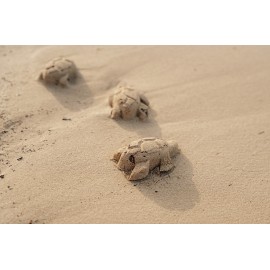 Little Dutch - Σετ Παραλίας 3τμχ Sailors Bay