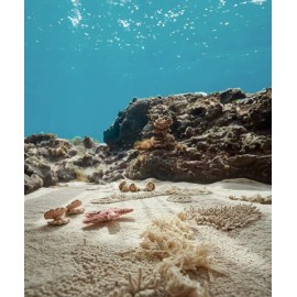 Lorena Canals - Χαλί Δωματίου Seabed 140x200cm 