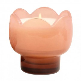 Paddywax - Tulip Κερί Σόγιας 155gr Σε Γυάλινο Δοχείο Cactus Flower