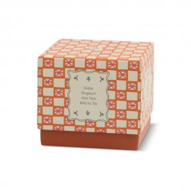 Paddywax - Tulip Κερί Σόγιας 155gr Σε Γυάλινο Δοχείο Cactus Flower