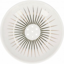 Trevoly By Raeder - Πορσελάνινη Βάση Για Σαπούνι Sunny