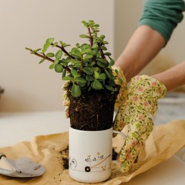 Raeder - Πορσελάνινη Κούπα Garden