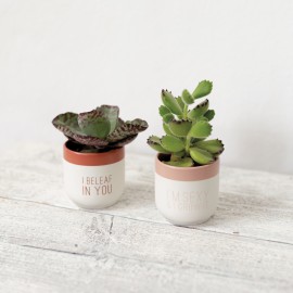 Raeder - Πήλινο Κασπώ "I'm Sexy & I Grow It"