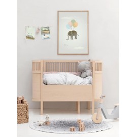 Vissevasse - Αφίσα 30x40cm Flying Elephant