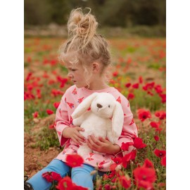WWF Cub Club - Υφασμάτινο Κουνελάκι Robert 29cm