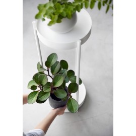 Yamazaki - Στρογγυλή Βάση Για Φυτά 2 Επιπέδων WH