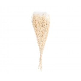 Andrea House - Αποξηραμένα Λουλούδια Statice Natural 70cm