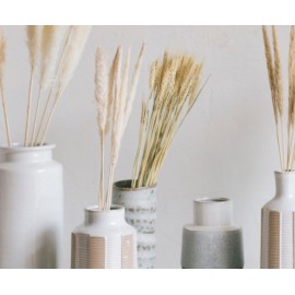Andrea House - Αποξηραμένα Λουλούδια 6τμχ White Phragmitos 70cm