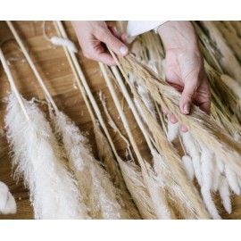 Andrea House - Αποξηραμένα Λουλούδια 6τμχ Cream Phragmitos 70cm