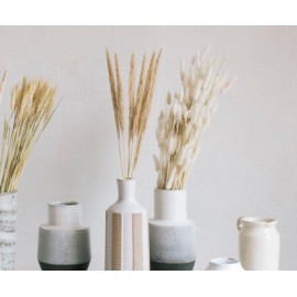 Andrea House - Αποξηραμένα Λουλούδια 6τμχ Cream Phragmitos 70cm