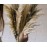 Andrea House - Αποξηραμένα Λουλούδια 3τμχ Pampas Natural 95cm
