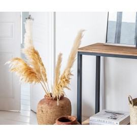 Andrea House - Αποξηραμένα Λουλούδια 3τμχ Pampas Cream 105cm