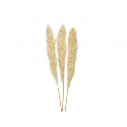 Andrea House - Αποξηραμένα Λουλούδια 3τμχ Pampas Cream 105cm