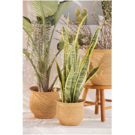 Calma House - Καλάθι Kombu Natural 36x26x31cm