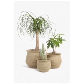 Calma House - Καλάθι Kombu Natural 36x26x31cm