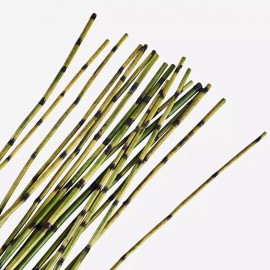 Madam Stoltz - Αποξηραμένα Λουλούδια Nanal Grass Green 100cm