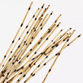 Madam Stoltz - Αποξηραμένα Λουλούδια Nanal Grass Natural 100cm