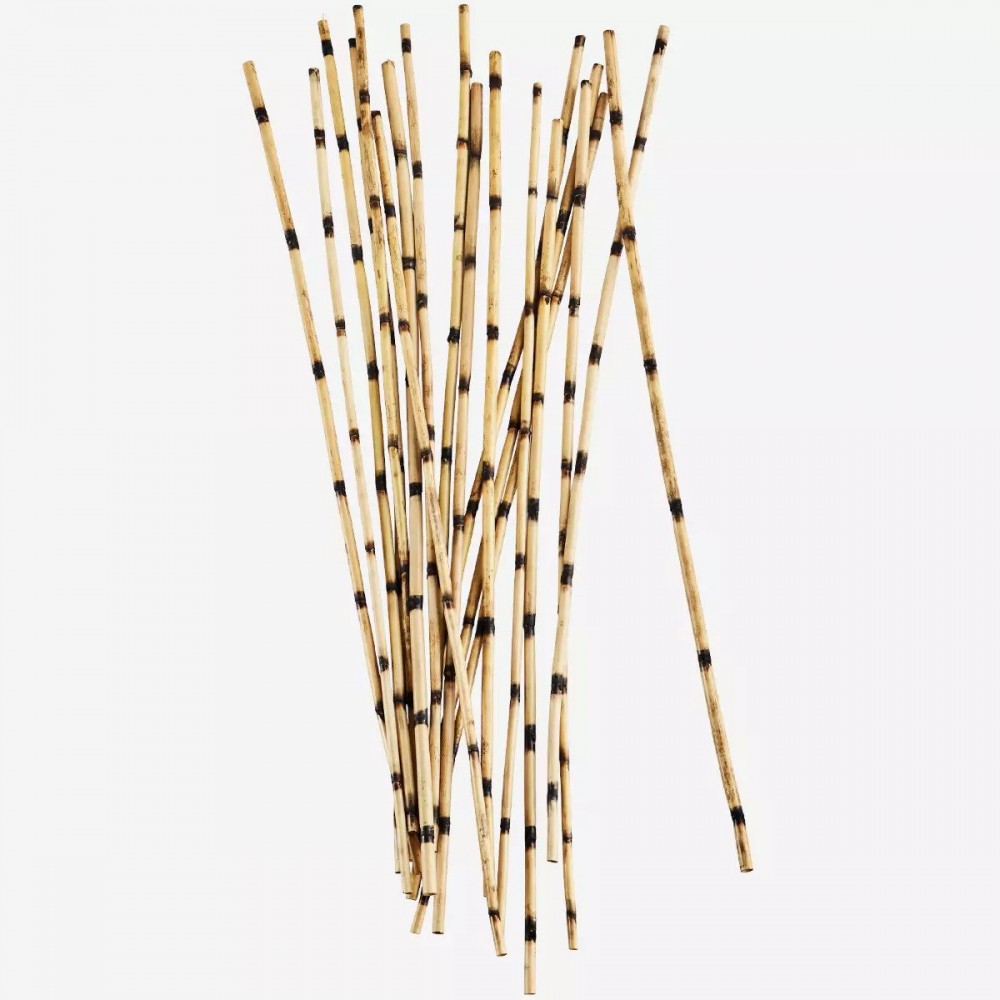 Madam Stoltz - Αποξηραμένα Λουλούδια Nanal Grass Natural 100cm