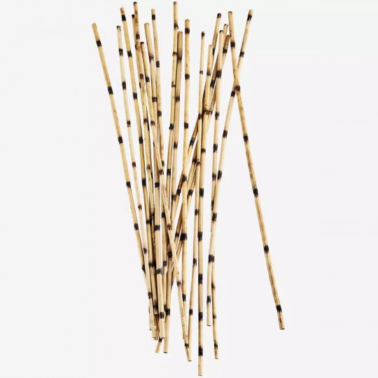 Madam Stoltz - Αποξηραμένα Λουλούδια Nanal Grass Natural 100cm