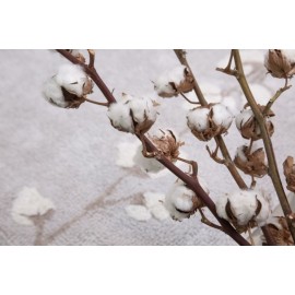 Lorena Canals - Χαλί Δωματίου Cotton Bolls 120x170cm