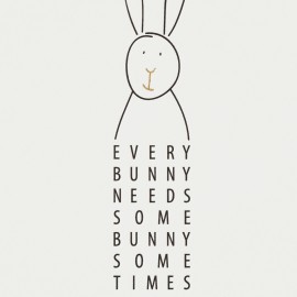 Raeder - Postcard Every Bunny Needs... 