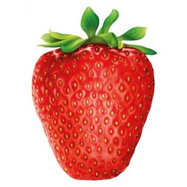 Hummingbird - Παζλ 1000 Κομματιών "I Like Strawberry"