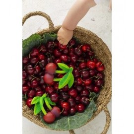 Oli & Carol - Μασητικό Από Φυσικό Καουτσούκ Mery The Cherry