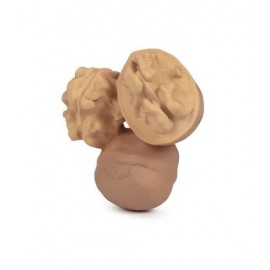 Oli & Carol - Μασητικό Από Φυσικό Καουτσούκ Nutty The Walnut