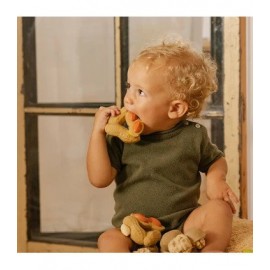 Oli & Carol - Μασητικό Από Φυσικό Καουτσούκ Paco The Peanut