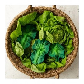 Oli & Carol - Μασητικό Από Φυσικό Καουτσούκ Kendall The Kale