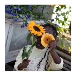 Oli & Carol - Μασητικό Από Φυσικό Καουτσούκ Sun The Sunflower