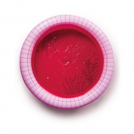 Quut - Φουσκωτή Πισίνα Dippy Cherry Ø120cm Quut - Φουσκωτή Πισίνα Dippy Cherry Ø120cm