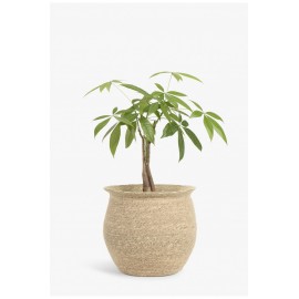 Calma House - Καλάθι Kombu Natural  28x18x25cm